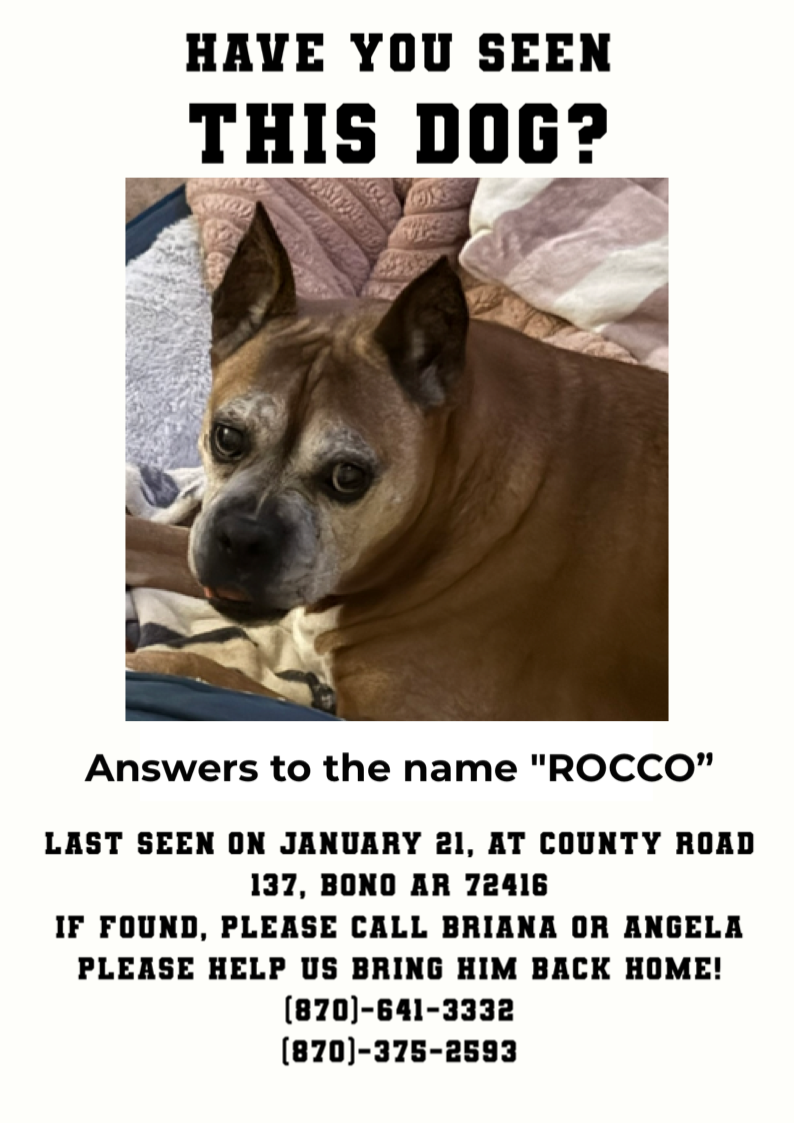 Lost Senior Dog: Light Brown, Bono Area