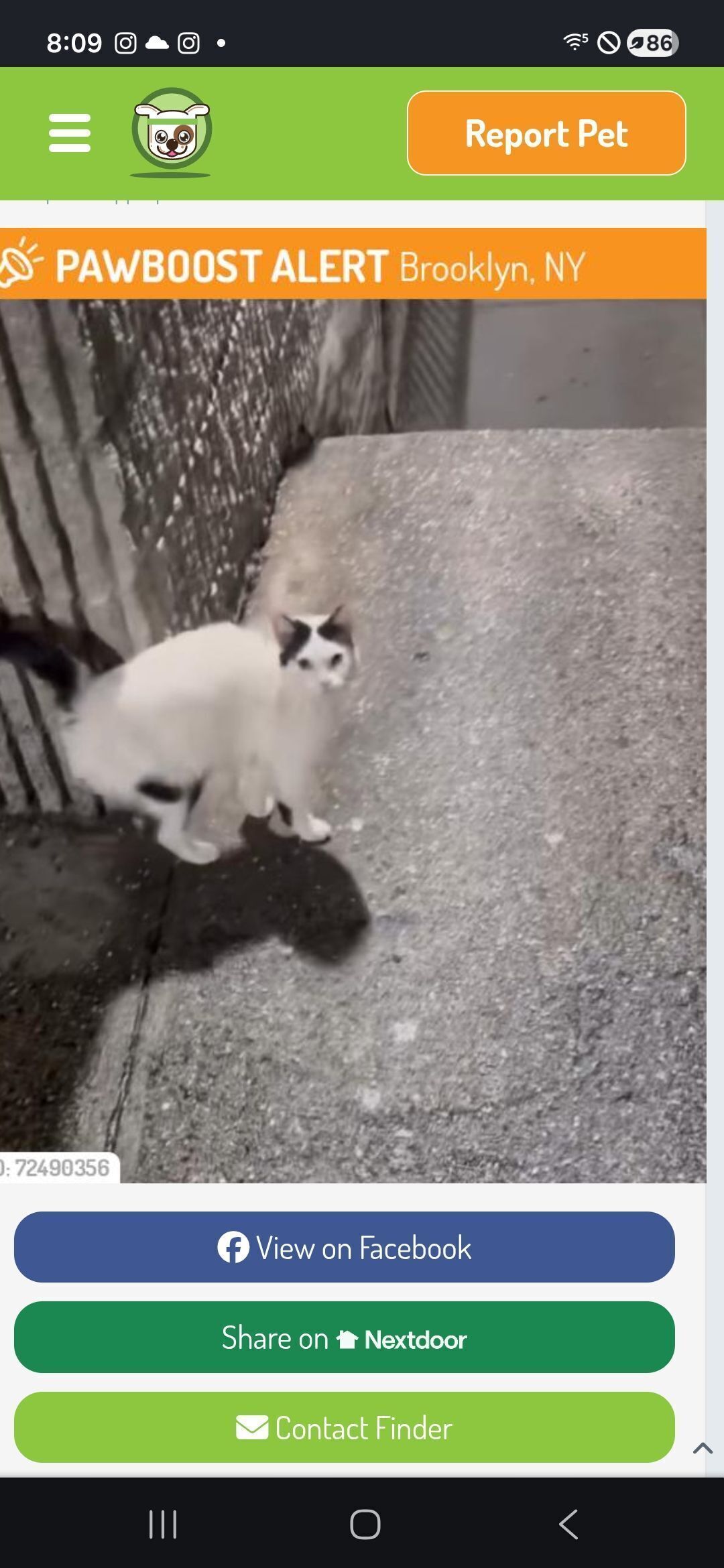 Friendly White Cat Found on Va...
