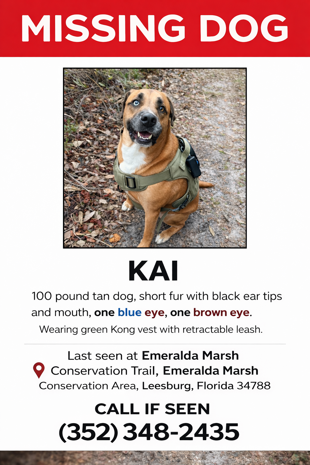 Lost Dog in Leesburg: Unique Eyes & Vest