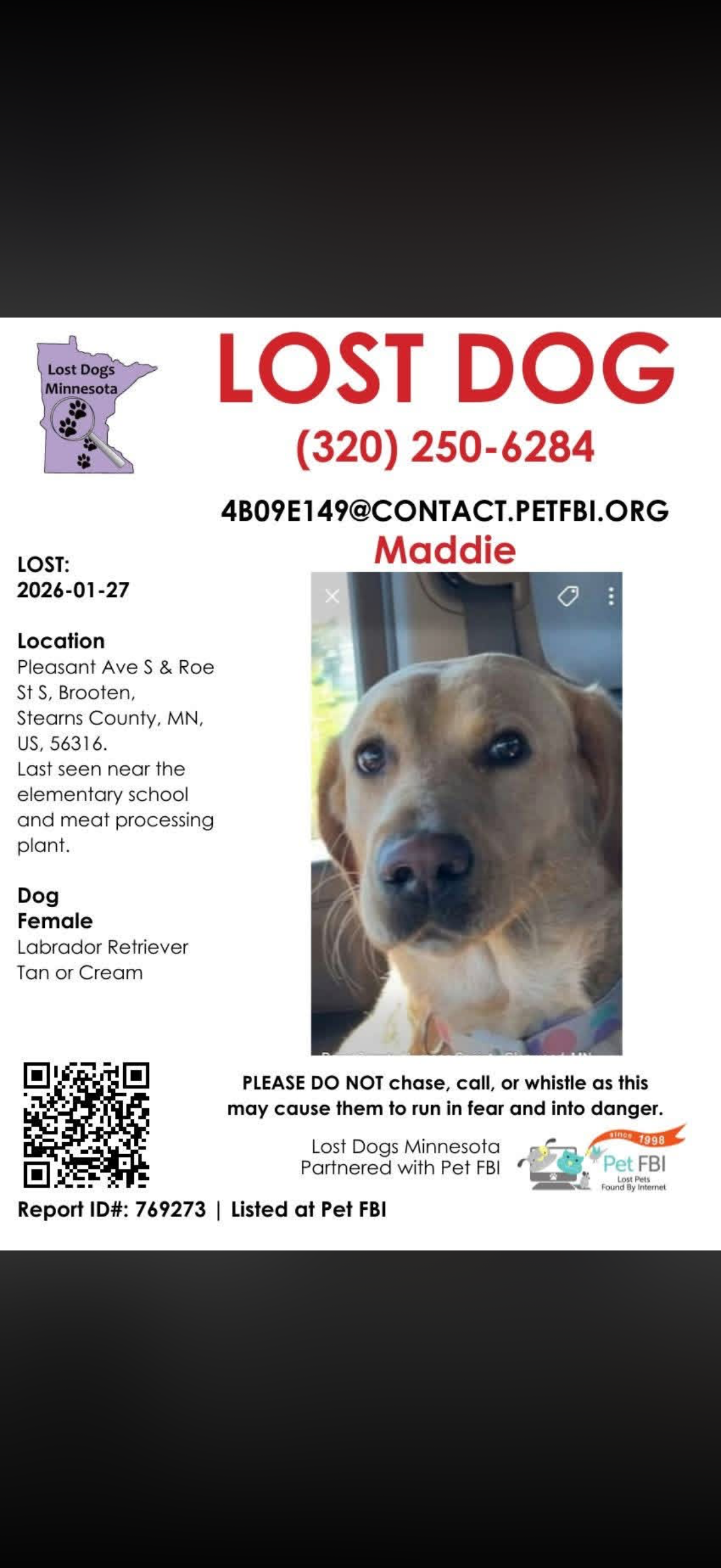 Lost Tan Dog, 4 Yrs, Brooten MN