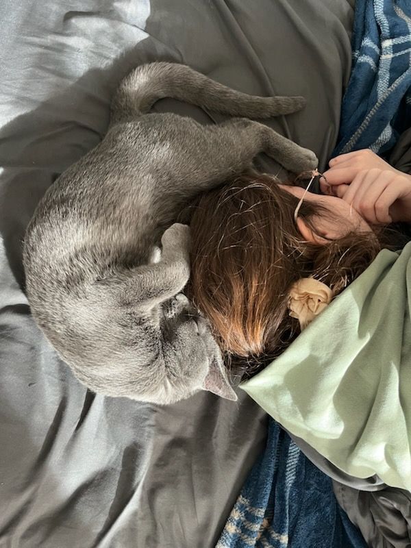 Lost Cat: Playful & Green-Eyed in Providence