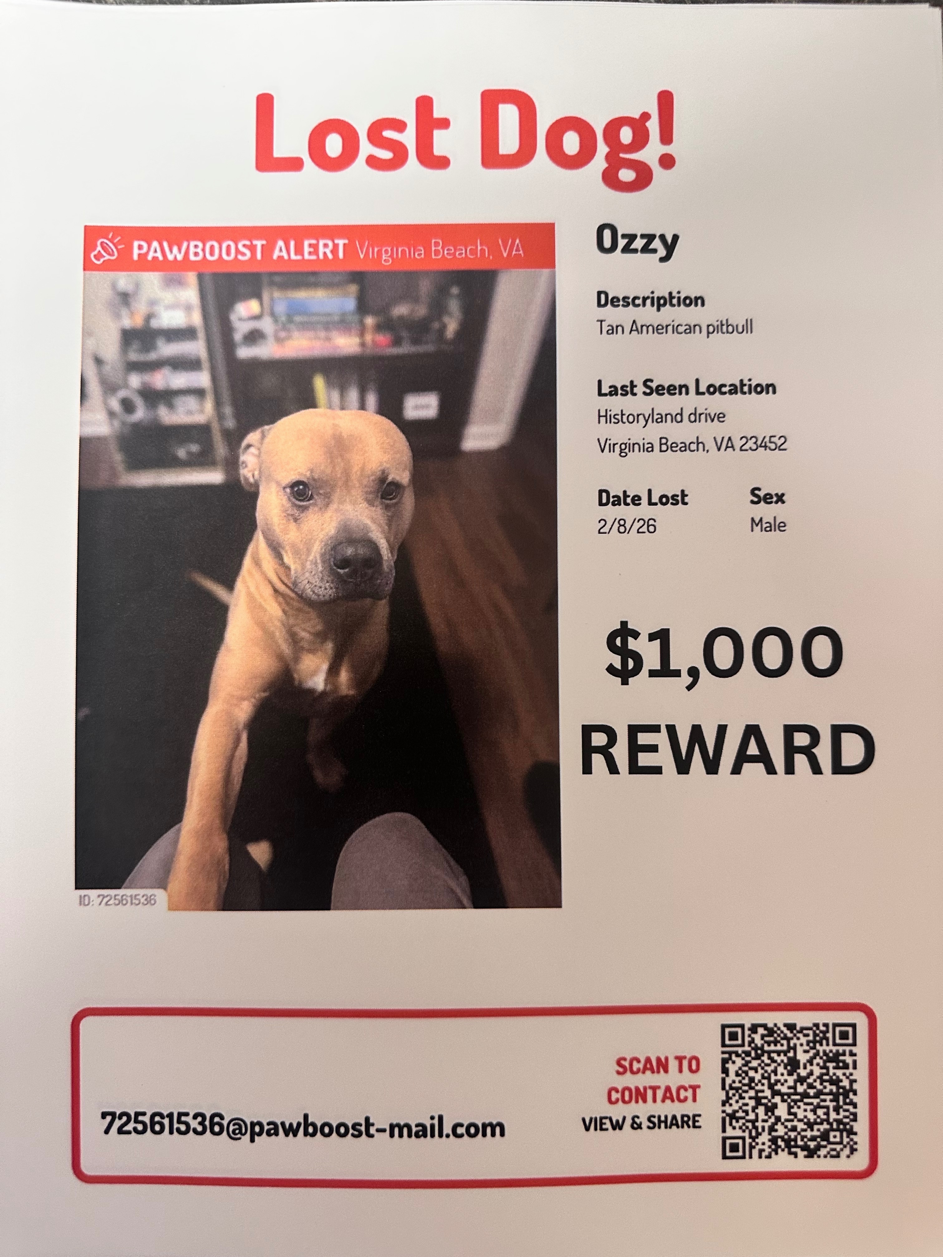 Lost: 100lb Tan Dog in Virginia Beach