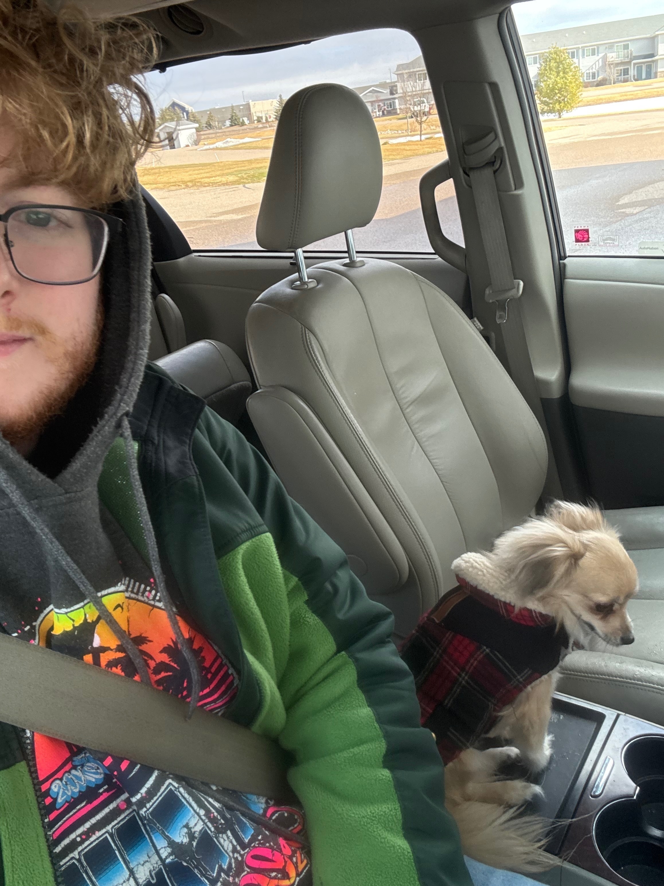 Lost Tan Chihuahua: Red Jacket, Plover