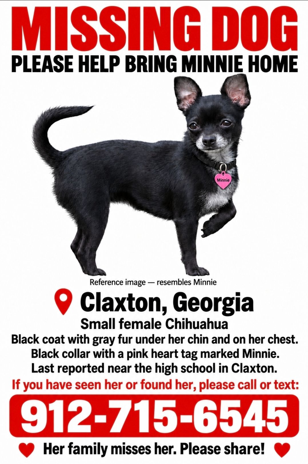 Missing dog Female, Claxton (usl549841) - photo