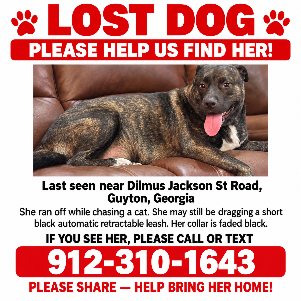 Missing dog Female, Pooler (usl550079) - photo