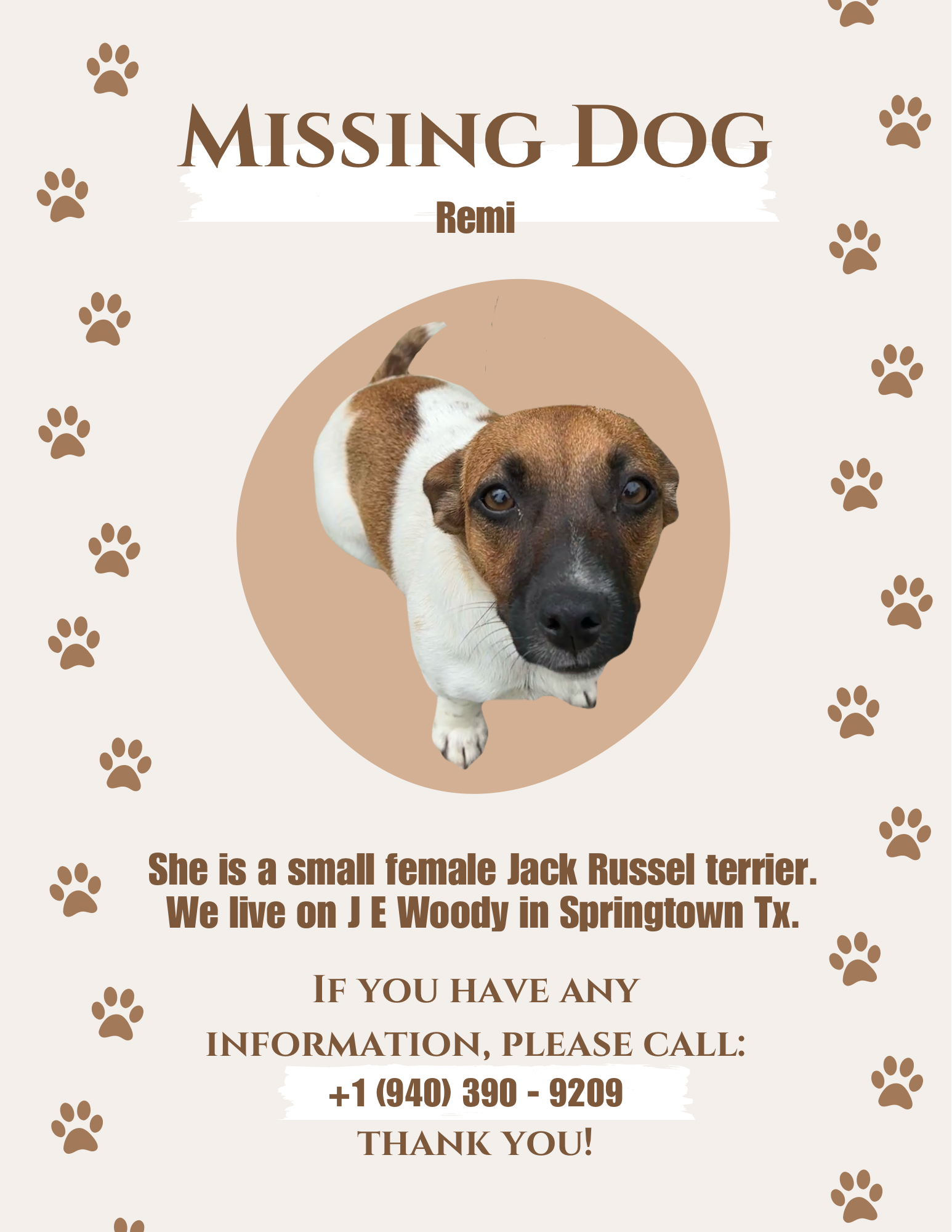 Lost female dog, J E Woody Rd, 630, Springtown — Jack Russell with a teal collar - photo
